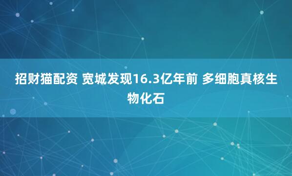 招财猫配资 宽城发现16.3亿年前 多细胞真核生物化石