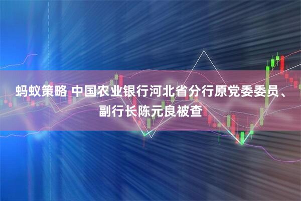 蚂蚁策略 中国农业银行河北省分行原党委委员、副行长陈元良被查
