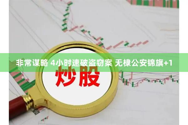 非常谋略 4小时速破盗窃案 无棣公安锦旗+1