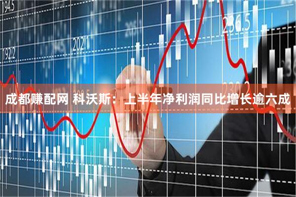成都赚配网 科沃斯：上半年净利润同比增长逾六成