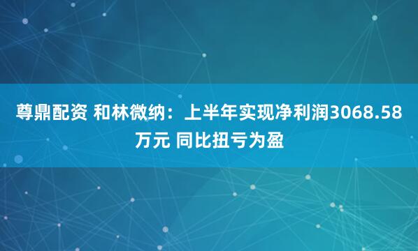 尊鼎配资 和林微纳：上半年实现净利润3068.58万元 同比扭亏为盈