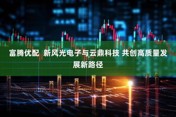 富腾优配  新风光电子与云鼎科技 共创高质量发展新路径