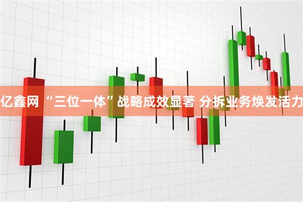 亿鑫网 “三位一体”战略成效显著 分拆业务焕发活力