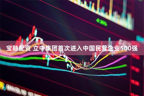 宝融配资 立中集团首次进入中国民营企业500强