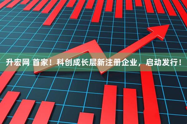 升宏网 首家！科创成长层新注册企业，启动发行！