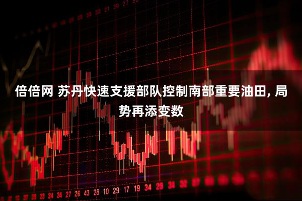 倍倍网 苏丹快速支援部队控制南部重要油田, 局势再添变数